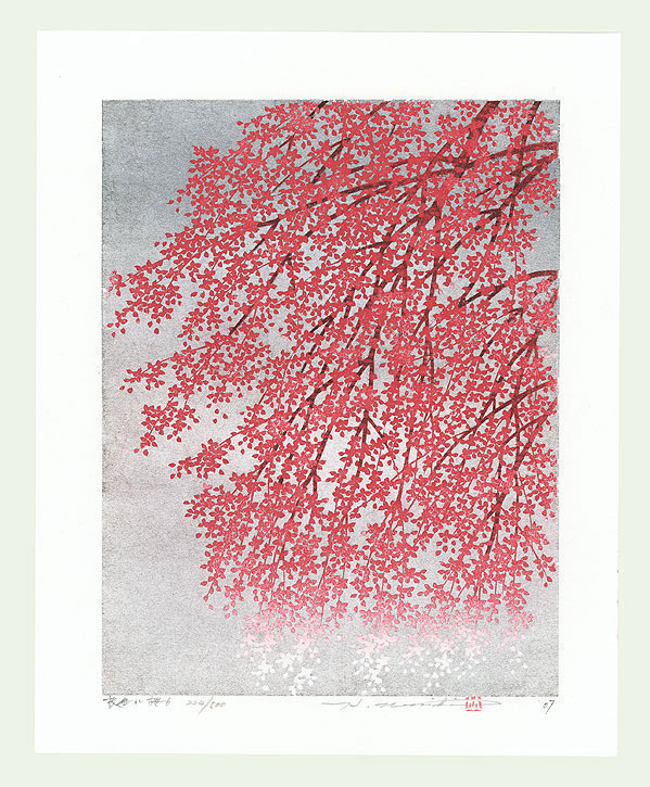 Weeping cherry 6
